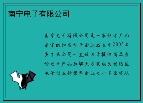 南宁电子有限公司