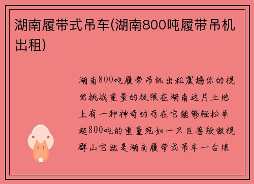 湖南履带式吊车(湖南800吨履带吊机出租)